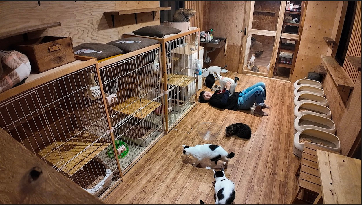 子猫部屋 内部